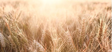 CFD Trading Markets Commodities