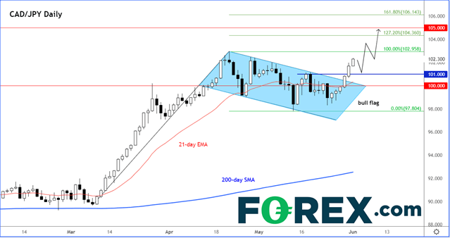 220601 cadjpy