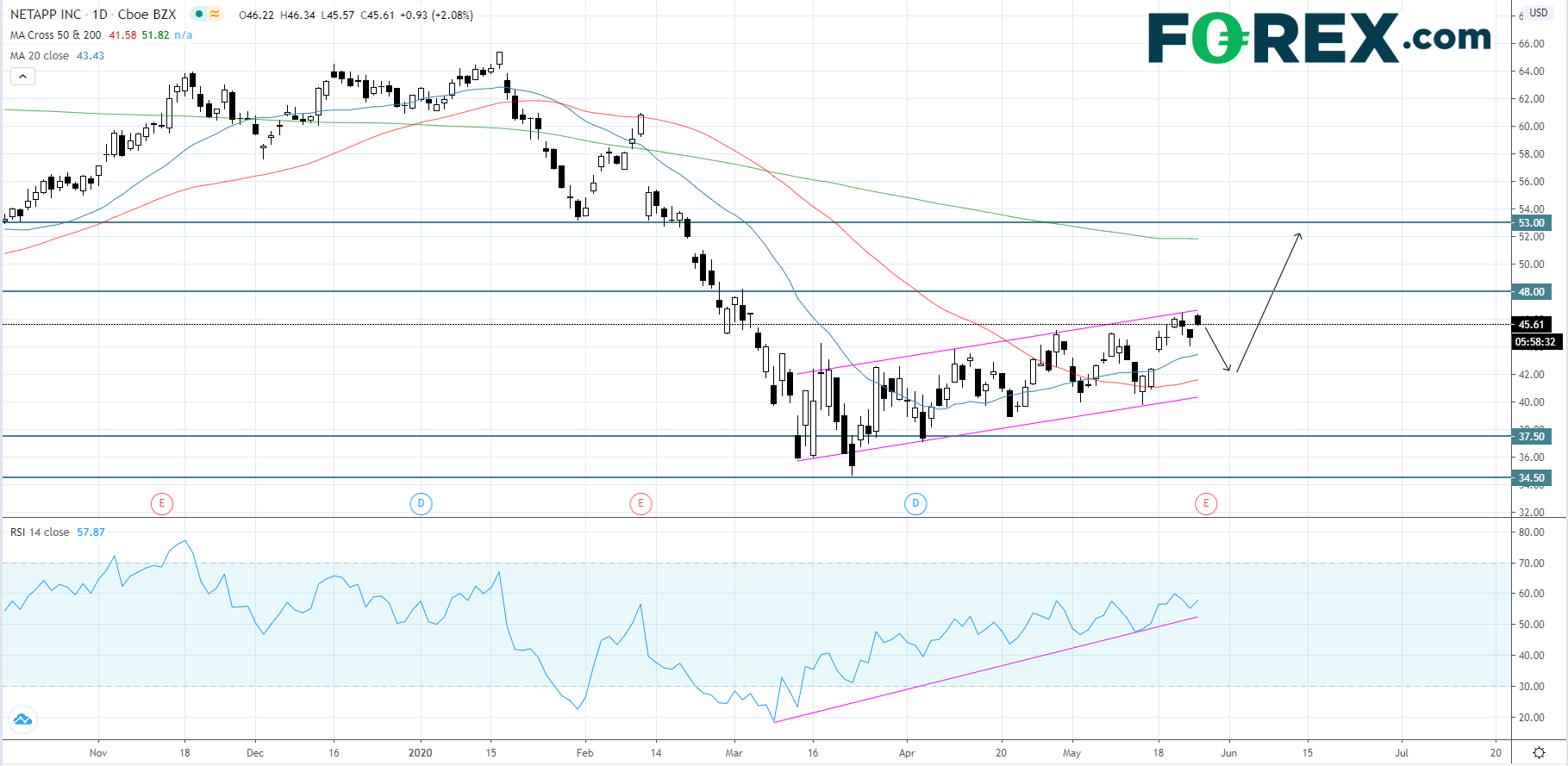 Netapp Share Earnings Play NetApp