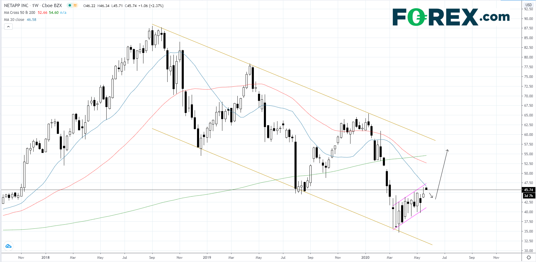 Netapp Share Earnings Play NetApp