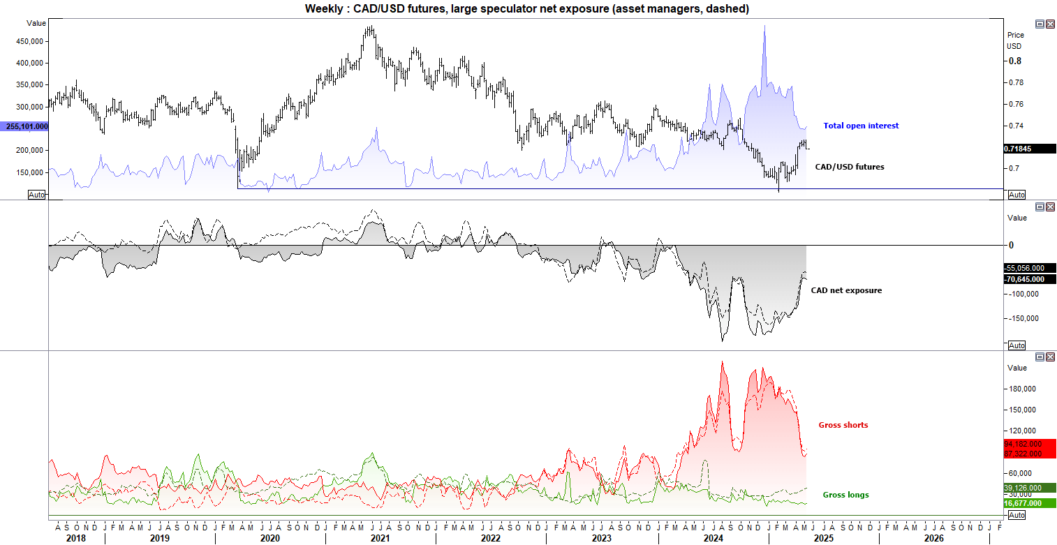 Canadian dollar futures and market positioning from the weekly COT report