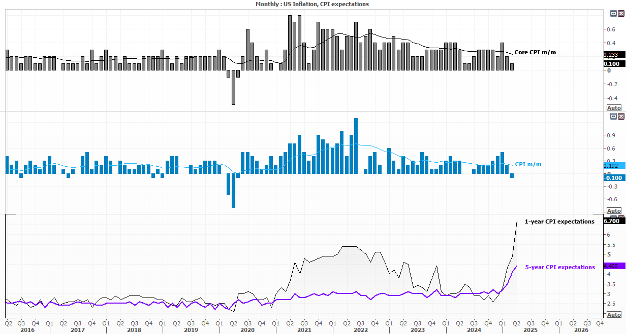 US CPI and consumer inflation expectations