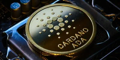 Cardano - 200x100