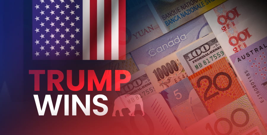 Trump Wins Hub Hero-Mobile