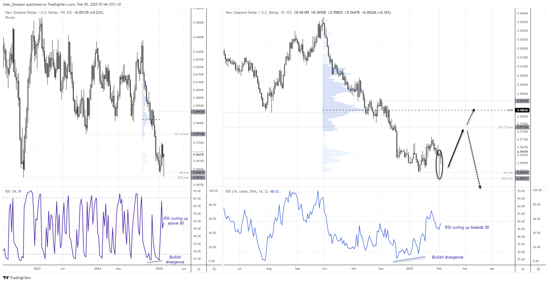 20250205nzdusd