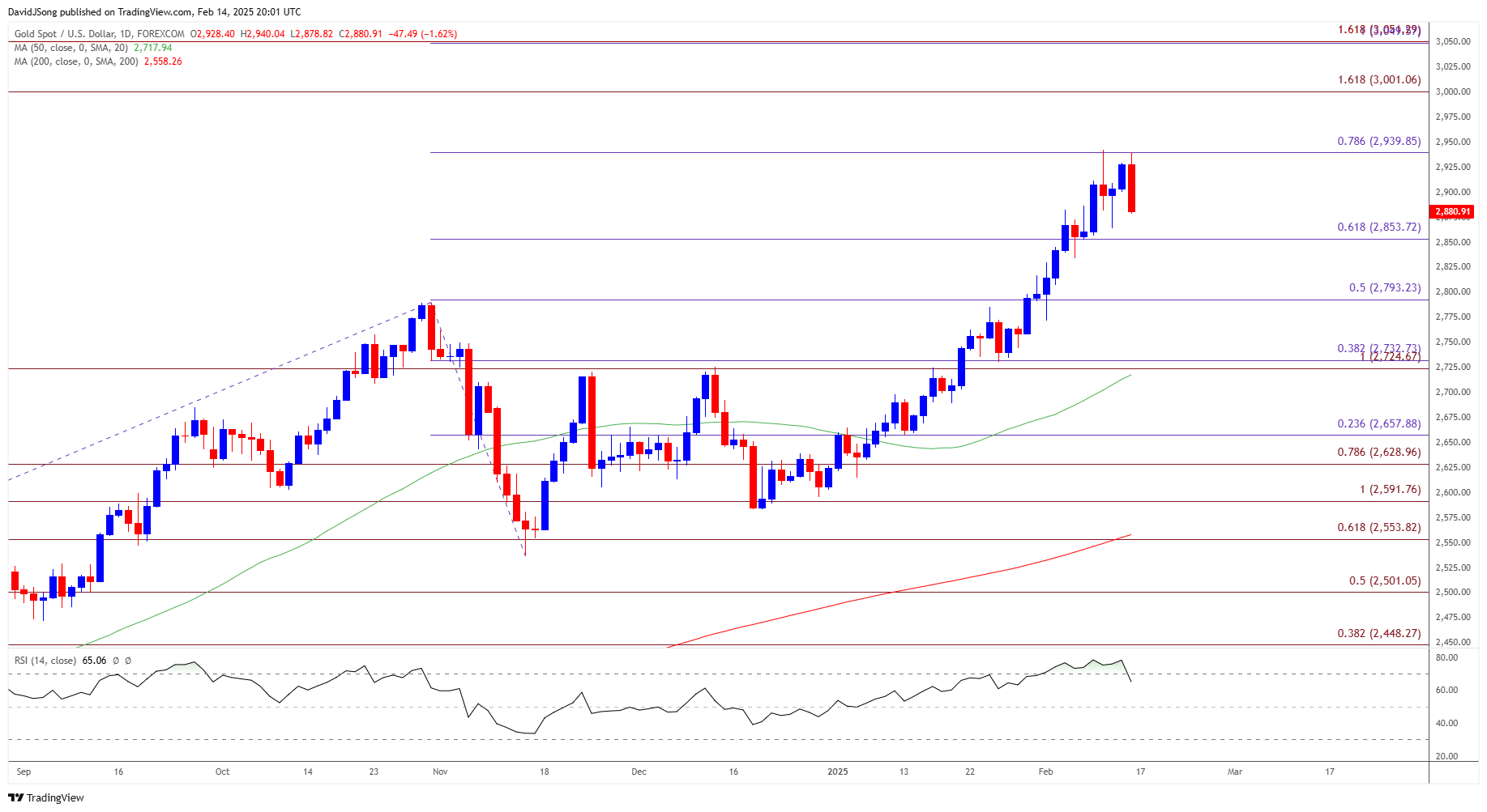 Gold Price Daily Chart 02142025