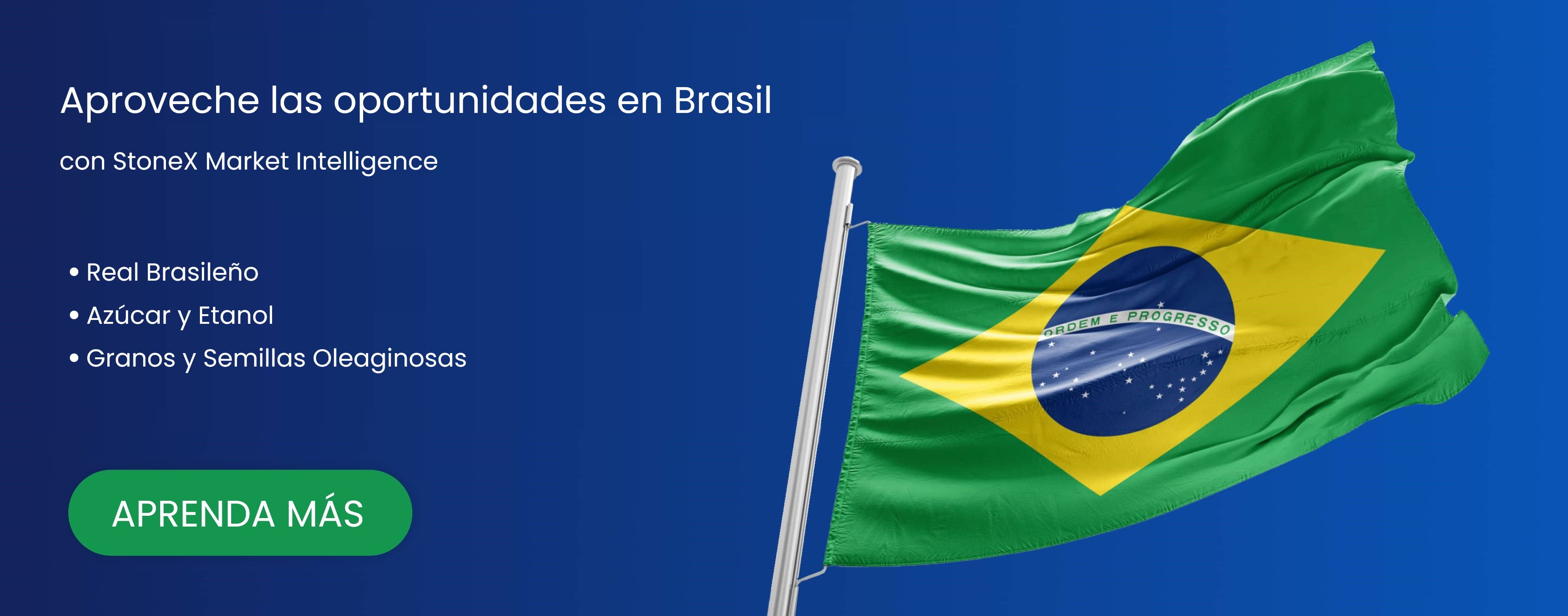 stonex brasil