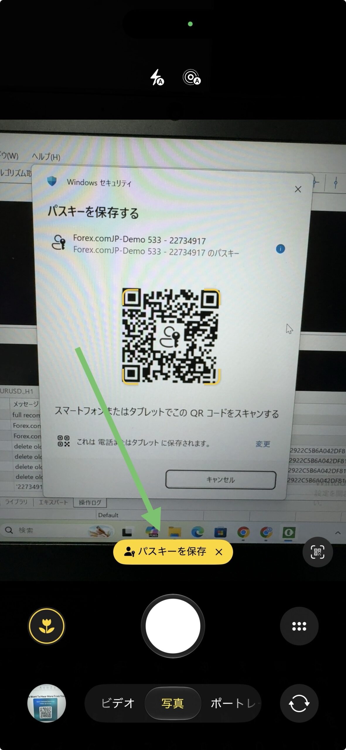 MT5起動画面