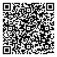 mt4 android qrcode